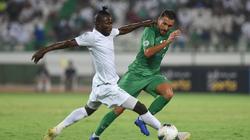 14 محترفا فى الدورى المصرى ينضمون لمنتخبات بلادهم