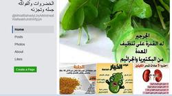 صفحة على "فيس بوك".. منها محل خضار وفاكهة ونصائح للزبائن