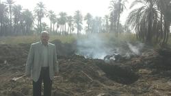 اندلاع حريق بمزرعة موالح دون إصابات في البحيرة