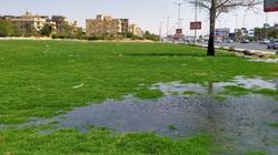 رئيس جهاز أسيوط الجديدة: استمرار غلق جميع المسطحات الخضراء بالمدينة