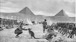 مصري يروج للسياحة من أستراليا: "أجدادهم عشقوا مصر أيام الحرب العالمية"