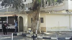 «بدوى» يبدأ المهمة بمطالبة «الوكلاء» بالدقة فى إنجاز التقارير