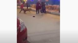 حدث في بنها.. شباب يروعون الفتيات بـ«كلب» وإحداهن تفقد الوعي «فيديو»