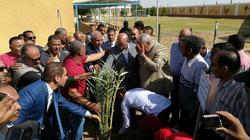 وزير الزراعة ومحافظ الوادي الجديد يدشنان مبادرة "ازرع نخلة"
