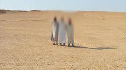 القبض على 3 تكفيريين في وسط سيناء