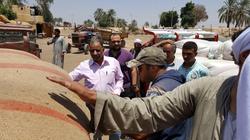 وزيرا التموين والزراعة يتفقدان مجمع مطاحن وصوامع الفيوم