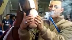 بالفيديو| شخص يجبر حصانه على تدخين الحشيش.. ونشطاء يطالبون بمحاكمته