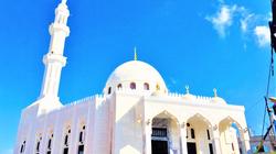 افتتاح 3 مساجد بتكلفة 11 مليون جنيه في الدقهلية