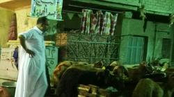 «موسم اللحمة» على الأبواب: مصلحة الجزارين.. ومعاناة الجيران