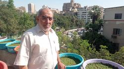 أستاذ ميكروبيولوجي: الفدان يُنتج نحو طن يومياً.. ولا يحتوي على مثبطات نمو أو مواد سامة
