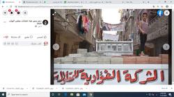 مرشحان بدائرة شبرا الخيمة يكسران الصمت الانتخابي