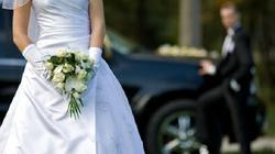 قاعات وفوتوسيشن وتجميل.. دليلك لحفلات الزفاف بعد عودة الأفراح