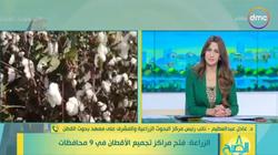 «البحوث الزراعية»: فدان القطن ينتج من 7 إلى 8 قناطير بجودة عالية