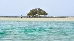 جزر «البحر الأحمر» الساحرة مشروع سياحى عملاق ينتظر الانطلاق