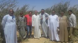 «سوهاج وأسيوط»: «وضع اليد» يقضى على حلم التعمير.. وآلاف الأفدنة تحت سيطرة أصحاب النفوذ
