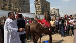 بالصور| وصلة رقص بالخيول أمام لجان التصويت في باب الشعرية