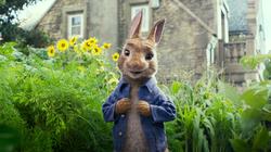 "Peter Rabbit" في المركز الثالث بـ 75 مليون دولار