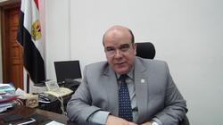 رئيس "عامة الانتخابات" بالدقهلية: 983 لجنة فرعية مستعدة لـ"الرئاسة"