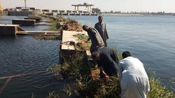 الري تنفذ مشروعات بقيمة 150 مليون جنيه لحماية نهر النيل من التآكل والنحر