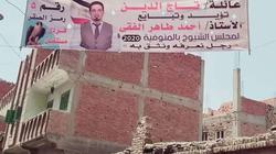 "السوشيال ميديا" تهزم "الفراشة" فى انتخابات "الشيوخ"