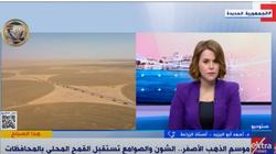خبير زراعي: مصر لديها سعة تخزينية كبيرة للأقماح المحلية تفوق الـ5.5 مليون طن