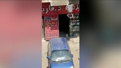 كلب في صيدلية يثير غضب سكان حدائق القبة