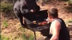 بالفيديو| رجل يصارع دبا ضخما على لحم مشوي