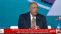 وزير الخارجية: أحداث 2011 لعبت دور في زعزعة الأمن والسلم الدوليين