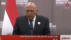 شكري: لن يتحقق الأمن في المنطقة دون حصول الشعب الفلسطيني على حقوقه