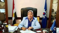 «تضامن السويس» تساهم بـ50 خيمة مجهزة لمساعدة الأشقاء في غزة