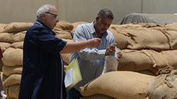 نائب برلماني يكشف حقيقة اتهام شقيقه بالتورط في فساد القمح