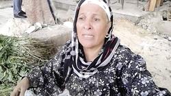 33 سنة من «لف ورق العنب» انتهت بـ«تطهير حلوان»