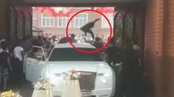 بالفيديو| حفل زفاف يتحول إلى معركة جماعية