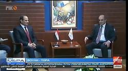 عاجل| السيسي يلتقي رئيس البرلمان القبرصي