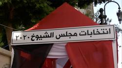 "المصرية لحقوق الإنسان": مرشحو النور روجوا لأنفسهم أمام لجان بالفيوم