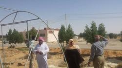 رئيس "الخارجة" تطالب باستغلال الصوب الزراعية لتحقيق الاكتفاء الذاتي