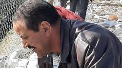 صور.. حملة لإزالة التعديات على الأراضي الزراعية بدمياط