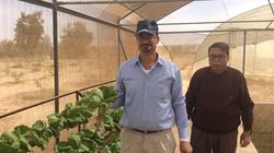 "قومي البحوث": الاستفادة من مياه الاستزراع السمكي في "الزراعة"