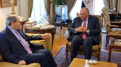 سياسيون عرب: مصر قربت وجهات النظر بين «دمشق» والدول العربية.. ودعم «القاهرة» لسوريا جسّد مثالاً حياً للتضامن العربي