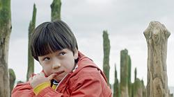 12 فيلما في مسابقة "الوثائقية العالمية" بمهرجان Sundance
