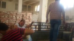"صحة مطروح" تضبط 1200 كجم زيت زيتون مغشوش