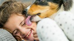 السبب وراء لعق الكلاب لنفسها أو للإنسان