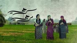 السبت.. "سرجي مرجي" في سينما الإبداع الفني لمناهضة الزواج المبكر