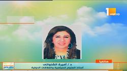أستاذ علاقات دولية: تحركات مصر الخارجية تصب في صالح الأمن القومي