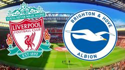 الدوري الإنجليزي| شاهد.. بث مباشر لمباراة «ليفربول وبرايتون» وصلاح أساسيا