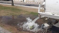 رفع 2700 طن قمامة إلى مصانع التدوير في حملة نظافة بمدن البحيرة
