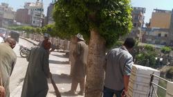 رفع 1545 طن قمامة بنطاق شرق وغرب المنصورة خلال العيد في الدقهلية