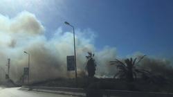 حريق يلتهم مزرعة 3 فدادين نخيل وزيتون بسيوة
