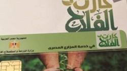 "الوطن" ترصد قصة "الكارت الذكي" للفلاح.. "الوادي الجديد بدأت تطبيقه"