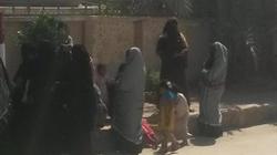 إقبال متوسط من المرأة في لجان واحة سيوة